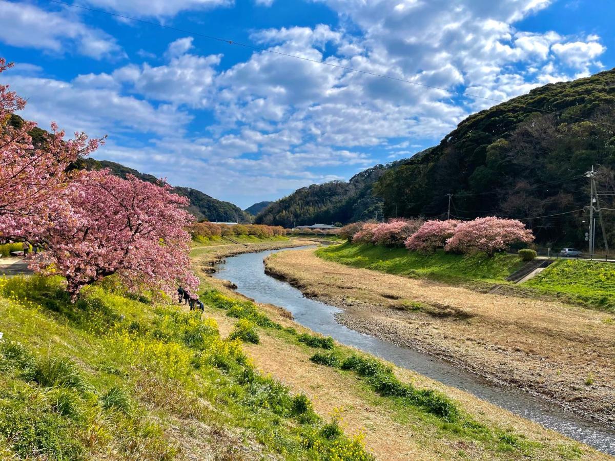 Guesthouse All You Need - All Rooms Have An Ocean View! Shimoda  Luaran gambar